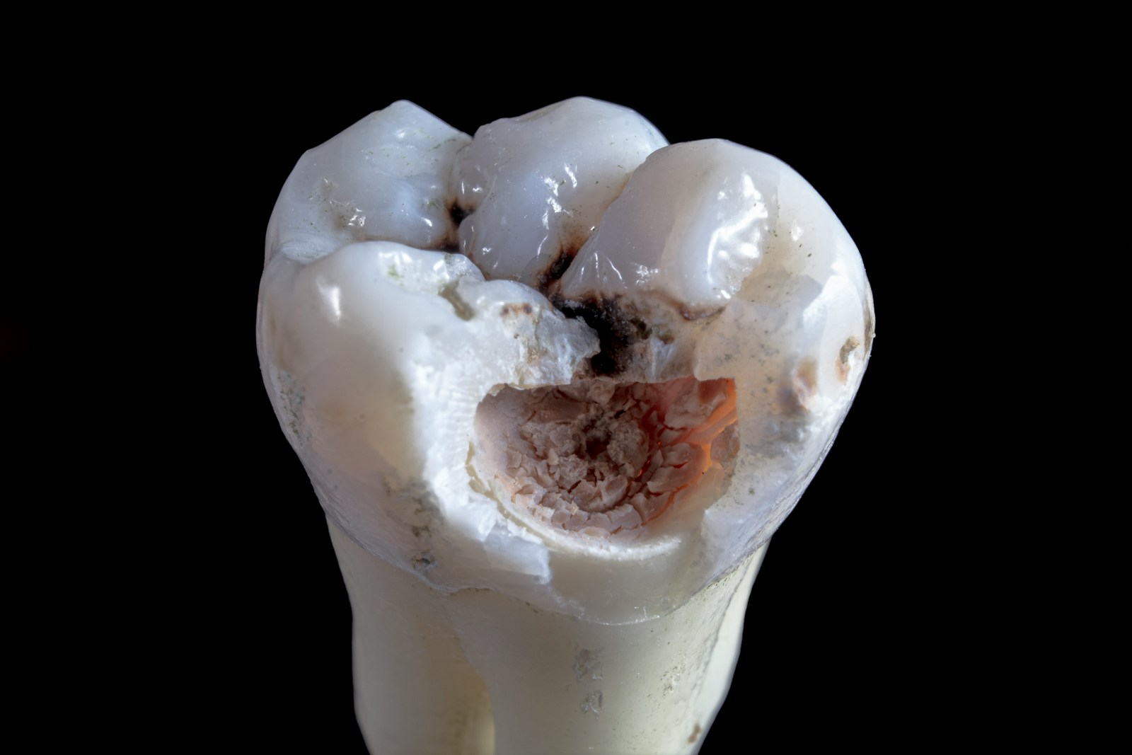 a white and brown object