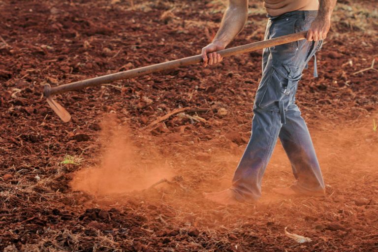 Barefoot farmer working the land in denim jeans, tilling red soil with a hoe in the rural countryside.