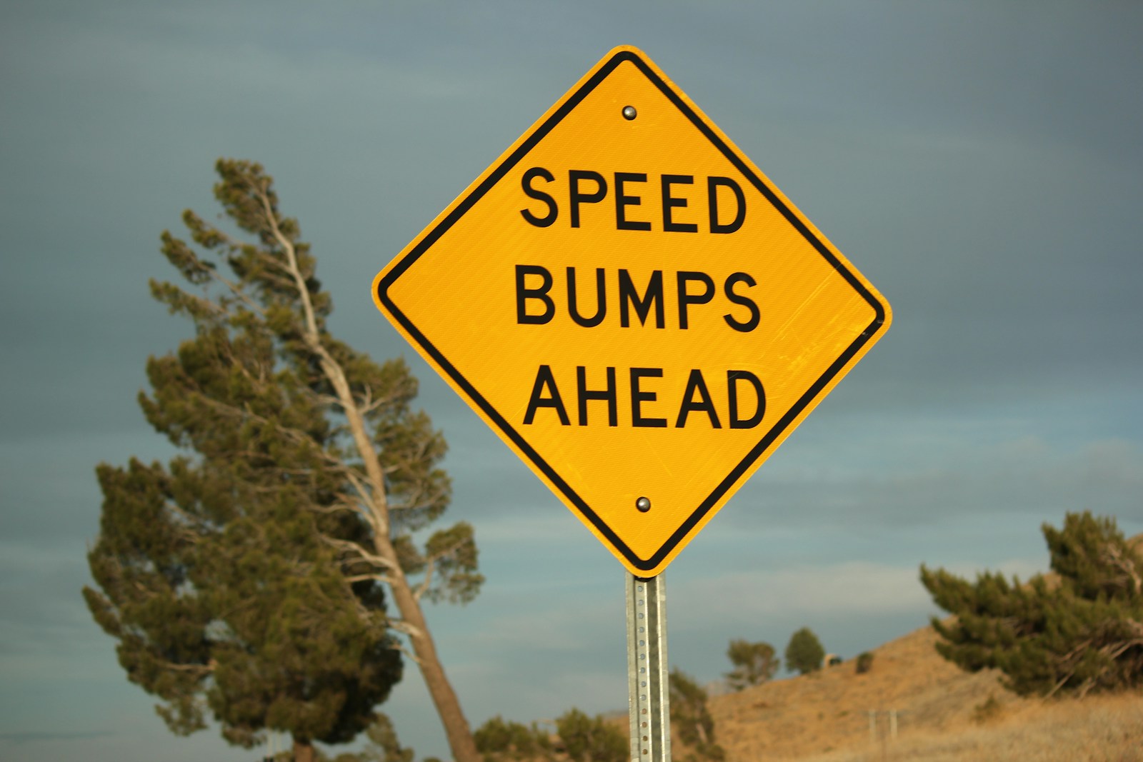 Speed bumps are ahead; slow down.